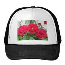 Rose Trio Hat