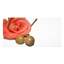 Rose with wooden percussion bell mallets picture card