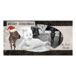 Rose Zebra Black & White Christmas Photo Card