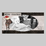Rose Zebra Black & White Christmas Photo Card photo cards
