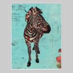 Rose Zebra Blue Grunge  Postcard postcards