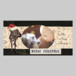 Rose Zebra Ivory & Black Christmas Photo Card photo cards