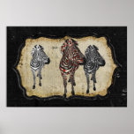 Rose Zebra Shadows Poster