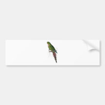 Roseate Parrakeet by Edward Lear Bumper Stickers