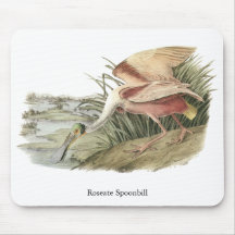 Roseate Spoonbill, John Audubon Mousemats