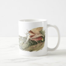 Roseate Spoonbill, John Audubon Mugs