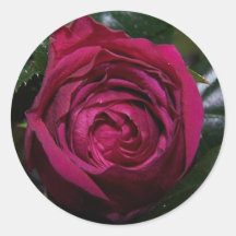 Rosebud Beauty Sticker