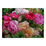 Roses for Mother's Day Cards