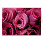 Roses for Mother's Day Cards