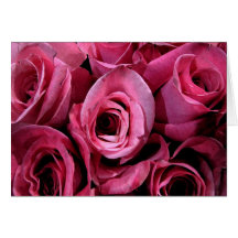 Roses for Mother's Day Cards