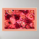 Roses for you print