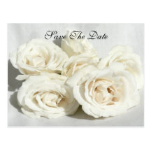 Roses on Linen Post Card