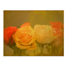 Roses Postcard