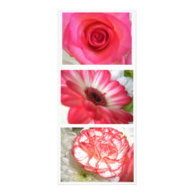 Roses Rack Card Design