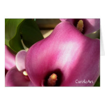 "Rosy Pink Callas" Card