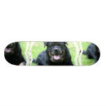 Rottie Skateboard