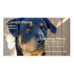 Rottweiler Business Card