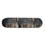 Rottweiler Dog Skateboard