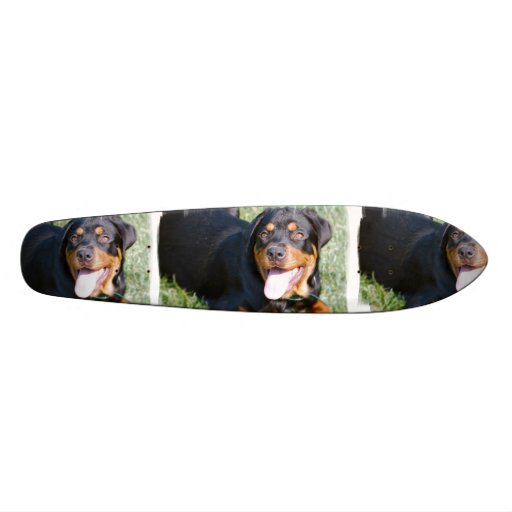 Rottweiler Dog Skateboard