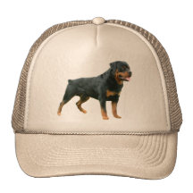Rottweiler Hat