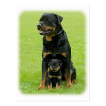 Rottweiler Postcards