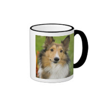 Rough Collie, dog, animal Coffee Mug