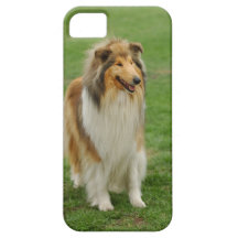 Rough Collie iPhone 5 Cover