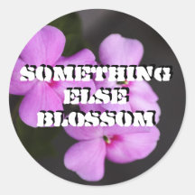 Round Stickers
