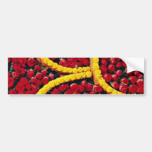 Rounded drops of red roses and yellow flowers  flo bumper sticker