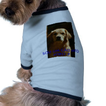 Roupa para pet masculino