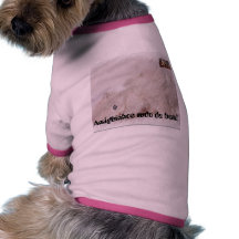 ROUPINHA DE CACHORRO AMIGUINHO ROUPAS PARA CAES
