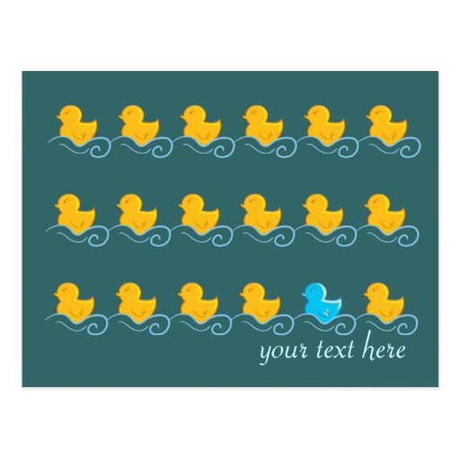 row of cute ducks card postcard