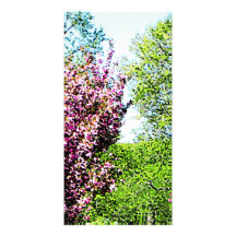 Row of Flowering Trees Photo Cards