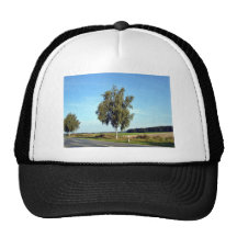 Row of trees along the countryside road trucker hats