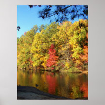 Row of trees print