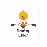 Rowing Chick Postcard