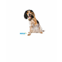 RSPCA Dog High-5 Ladies T-Shirt t-shirts