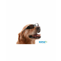 RSPCA Dog t-shirts