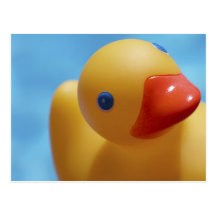 Rubber Duck Close-Up Postcard