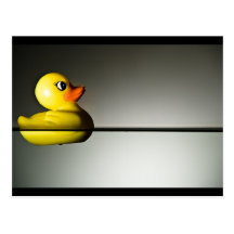 Rubber Duck Floating Postcards