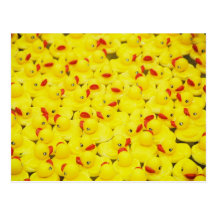 Rubber Duckies Post Cards