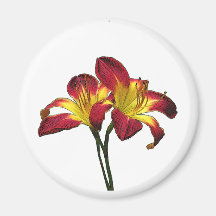 Ruby Daylily Floral Magnet