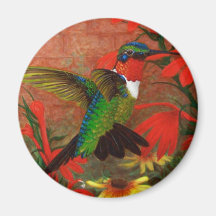 Ruby Hummingbird Fridge Magnets