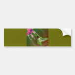 Ruby Red Hummingbird and Fuchsia Bumper Sticker