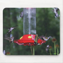Ruby-throat Fall Migration Mousepad