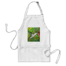 Ruby throated Hummingbird Apron