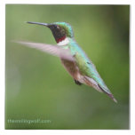 Ruby-Throated Hummingbird tiles