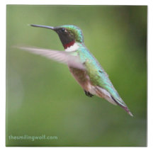 Ruby-Throated Hummingbird Ceramic Tile