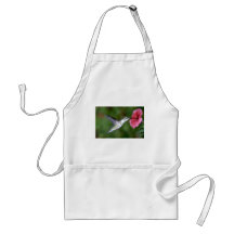 Ruby-throated Hummingbird (female) with petunia Apron