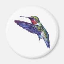 Ruby Throated Hummingbird Magnet